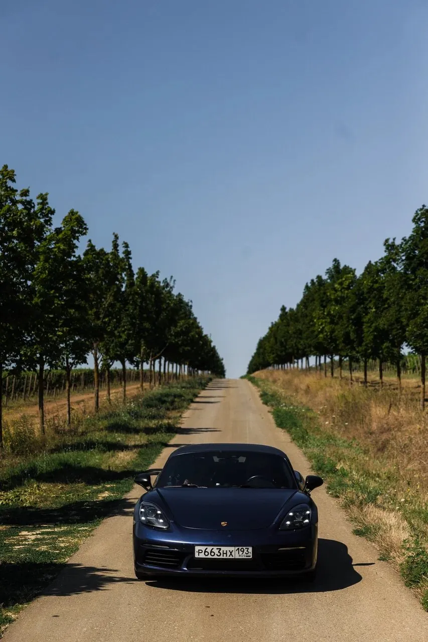 Porsche на дороге между виноградниками